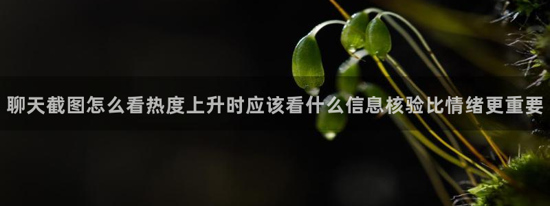 吃瓜在线观看网站
