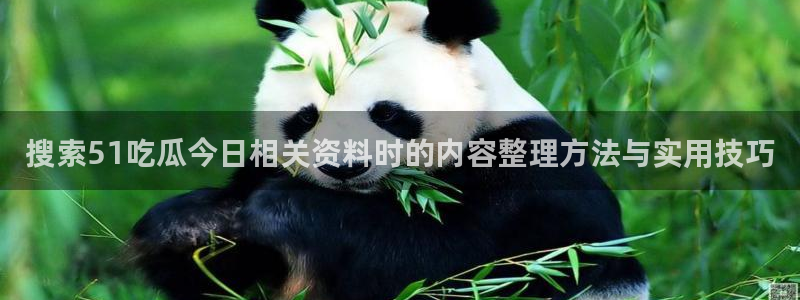 吃瓜今日资讯