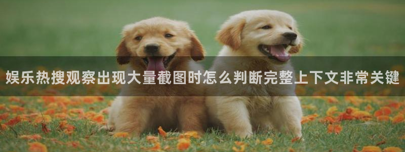 吃瓜网址大全